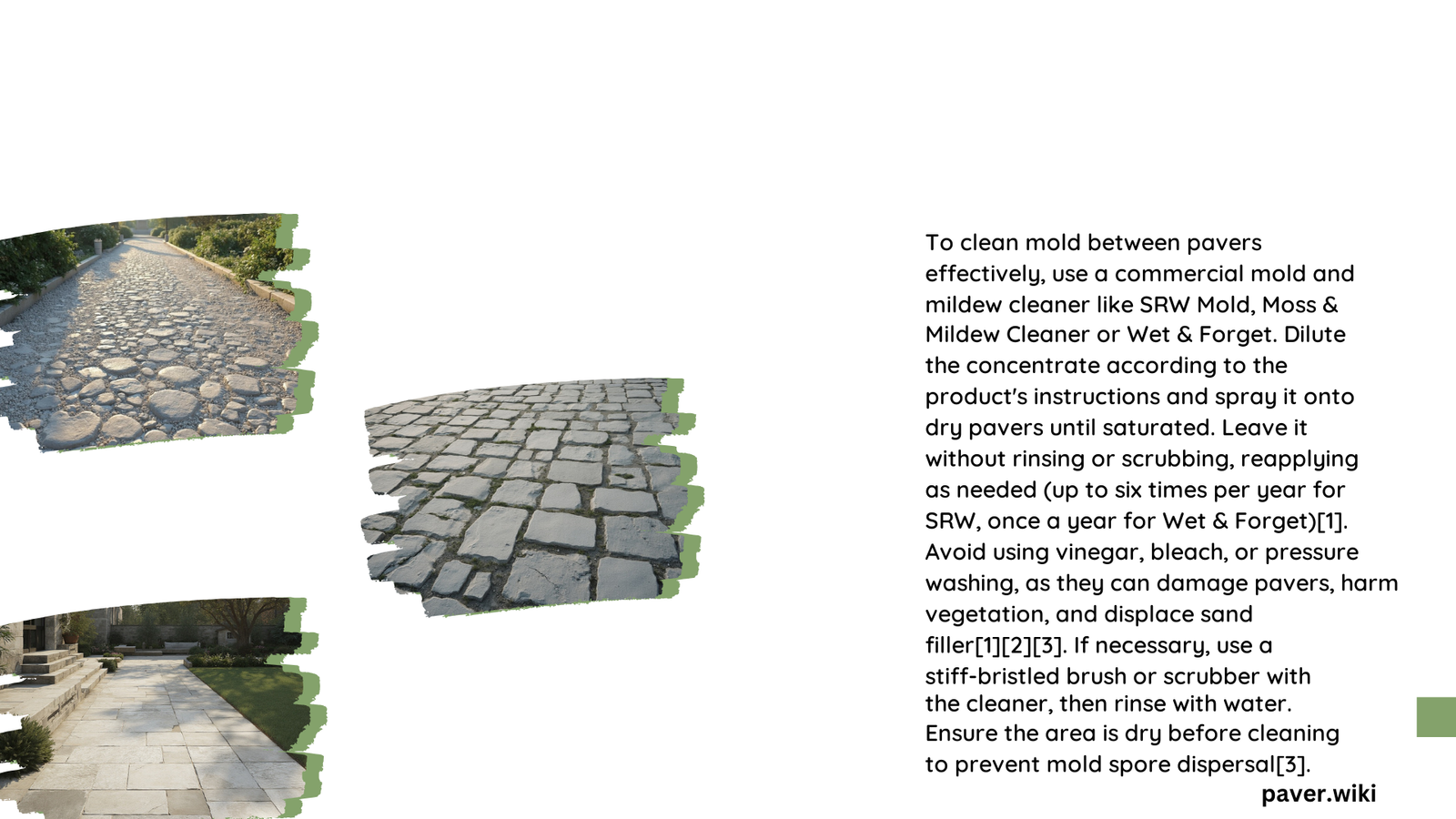 cleaning mold between pavers