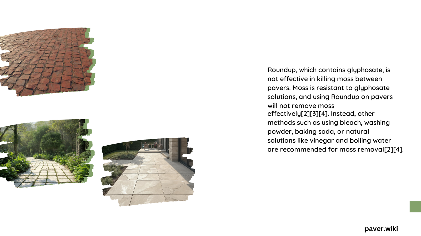 does roundup kill moss between pavers