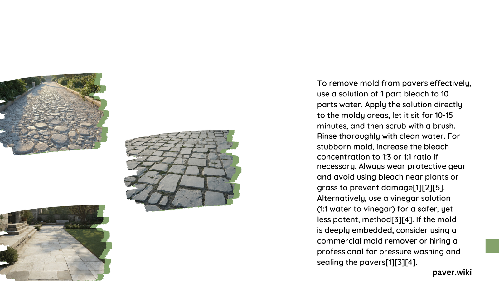 mold remover for pavers
