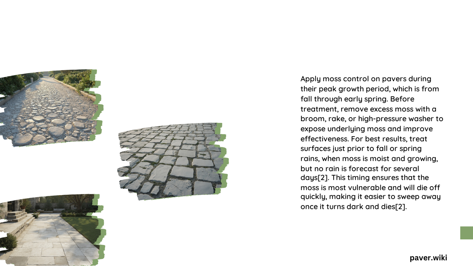 when to apply moss control on pavers